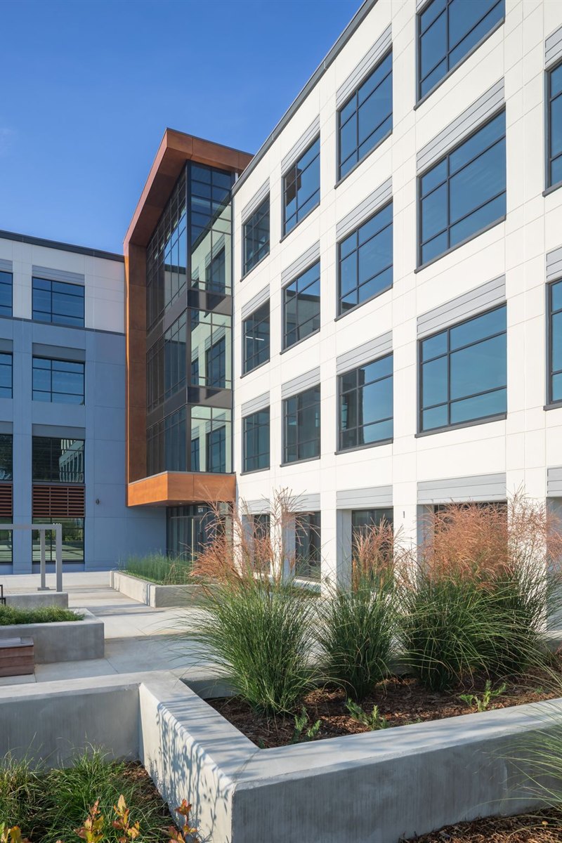 Finished courtyard planting with ornamental grasses and seat walls at a commercial office building