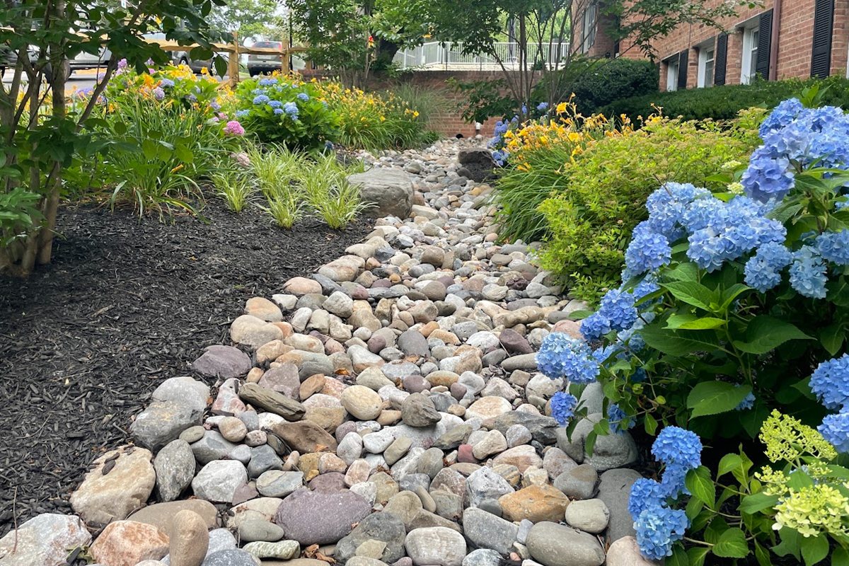 River-rock dry creek bed lined with hydrangeas and perennials