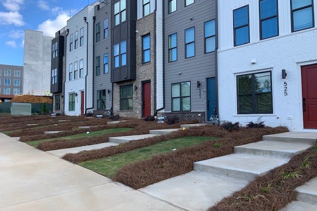 New sod, pine straw and plantings along a row of townhomes