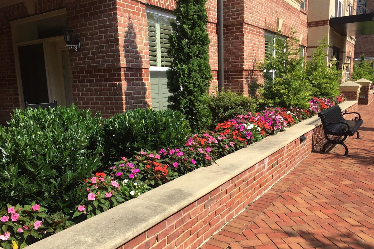 Seasonal color in a raised brick planter along a Northern Virginia streetscape
